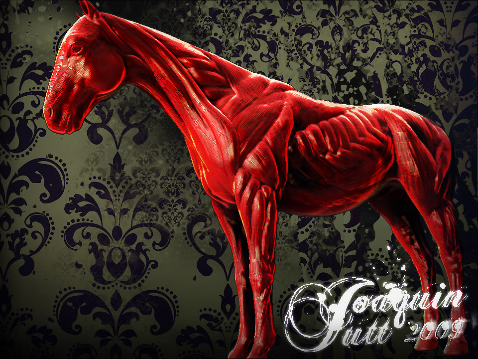 horse_PSedit_sm.jpg