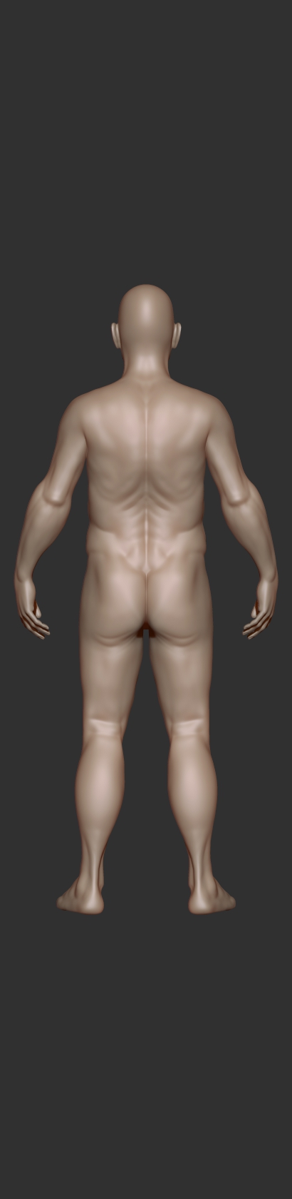 oldmanstudy_back.jpg