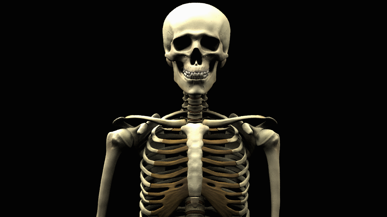 profileFocal000.png