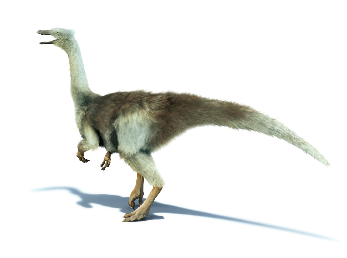 Gallimimus_HiRes.jpg
