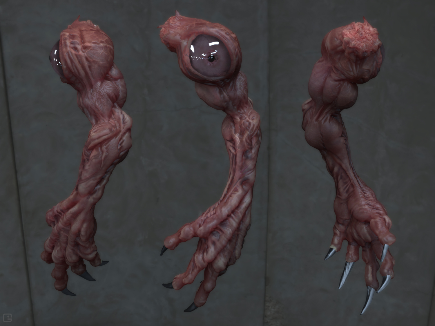 arm01.jpg