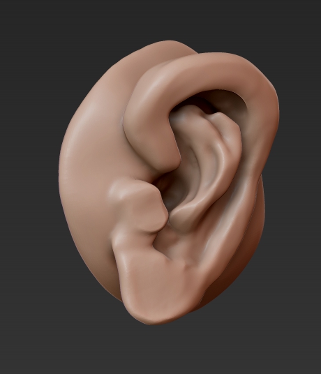 earsculpt.jpg