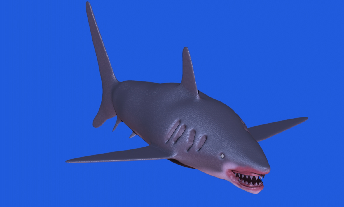 shark z