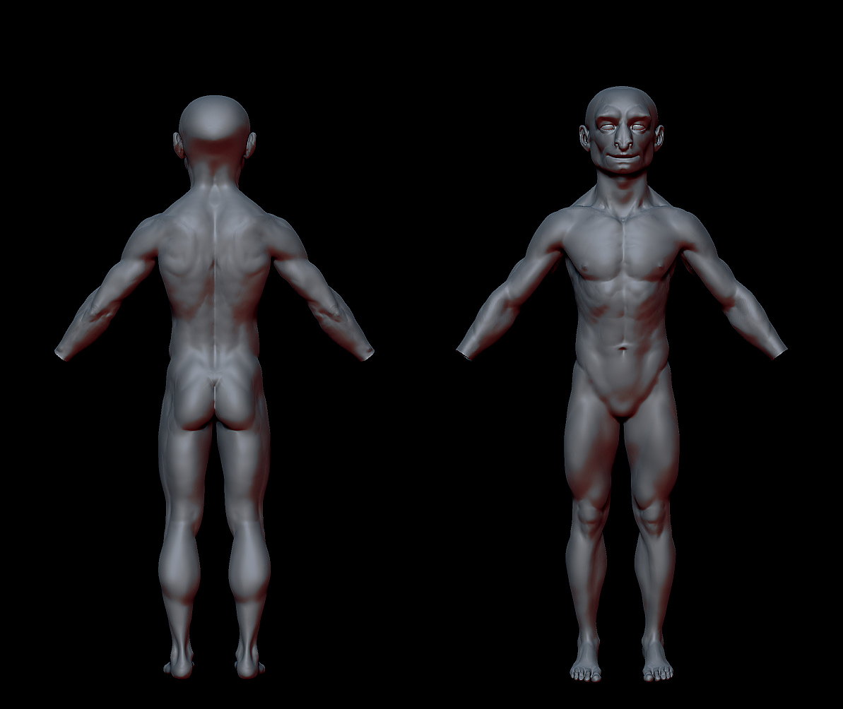 Kogo_Torso1.jpg