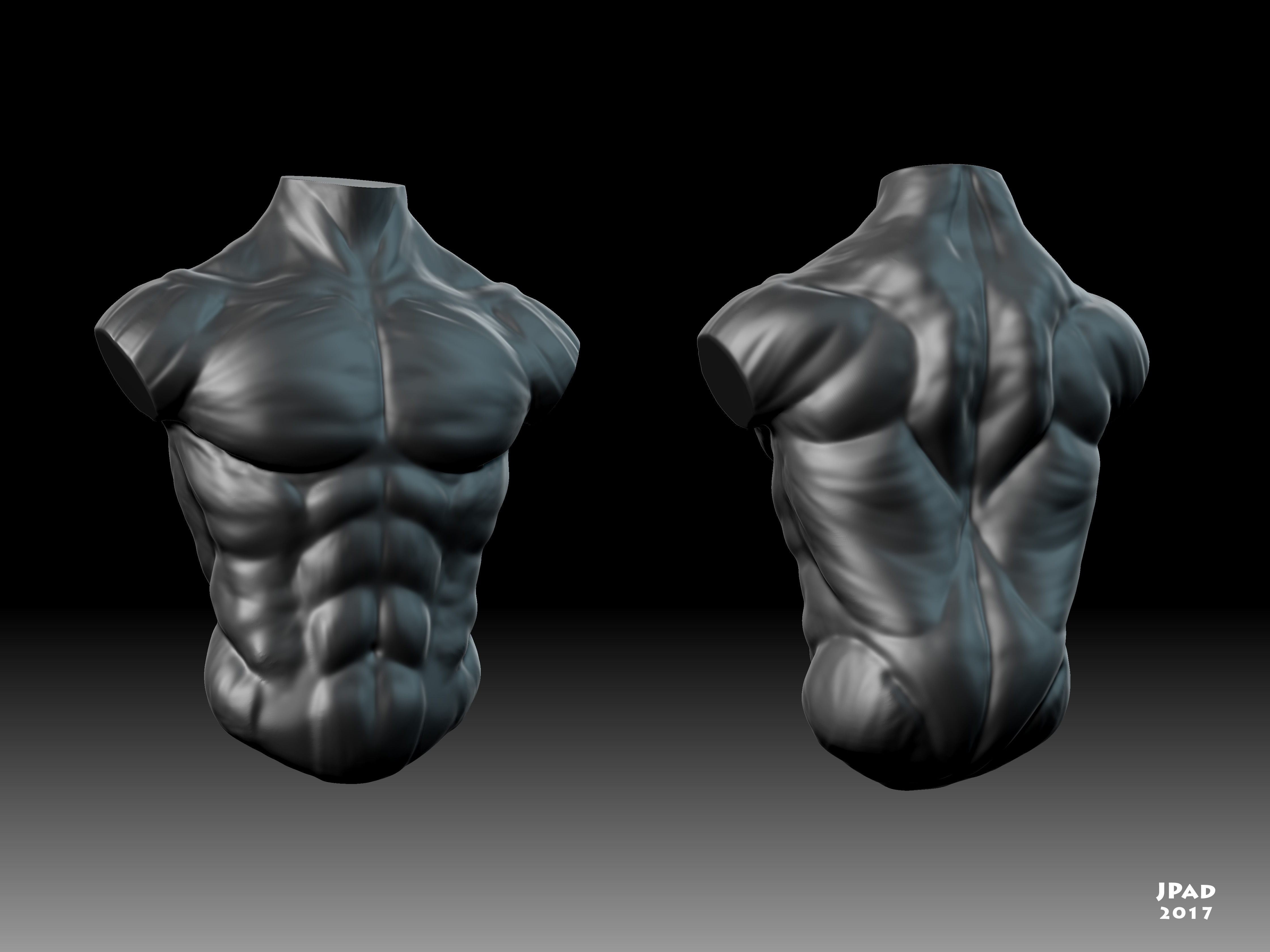 Torso_Study_JPad_2017_Lighting_01.jpg