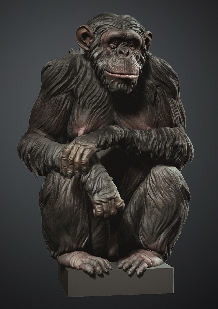 chimp_final_web.jpg