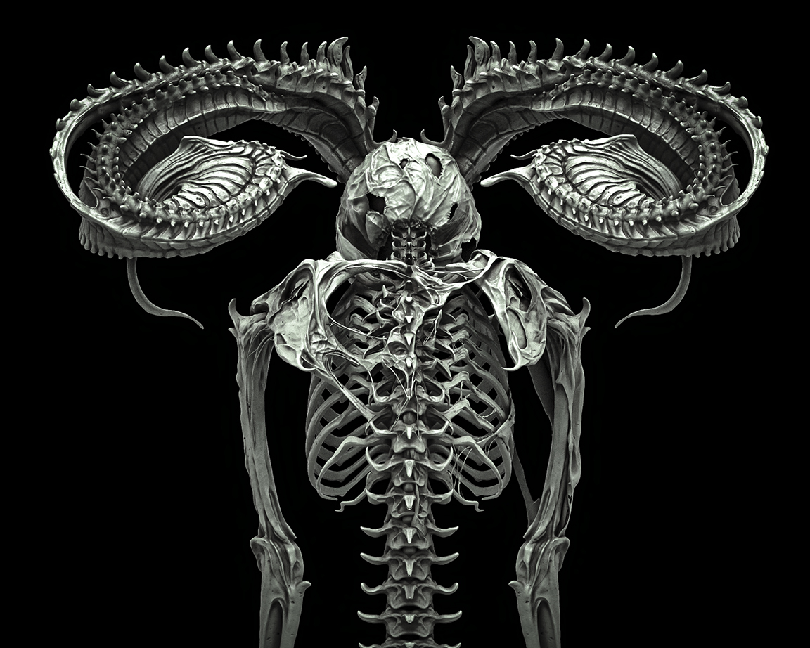 bonesgrey1