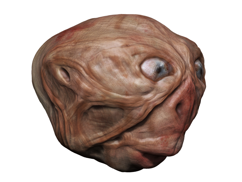 BPR_Render.jpg
