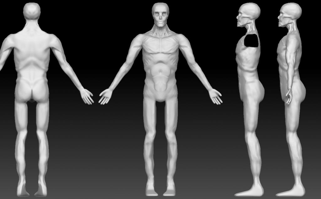 Anatomy_zps60793b6a.jpg