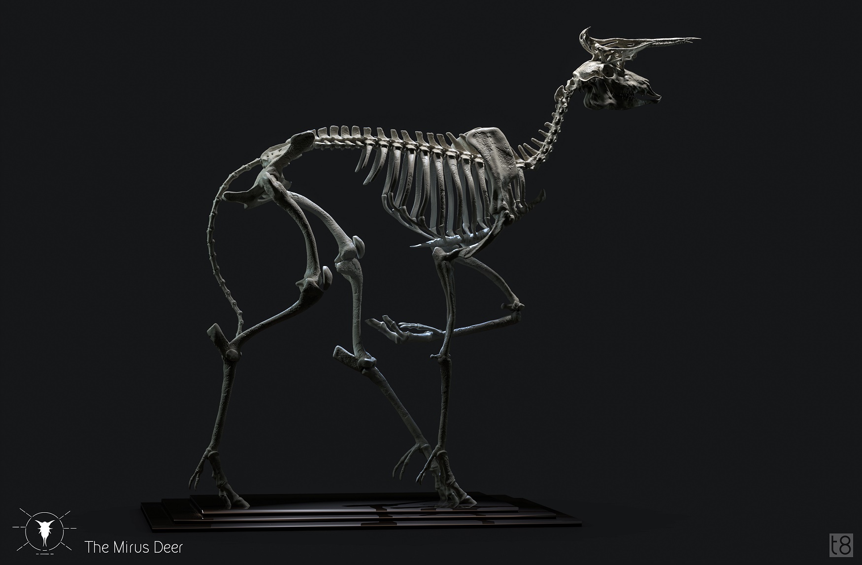 mirus deer_skeleton_adjustment_02_small.jpg