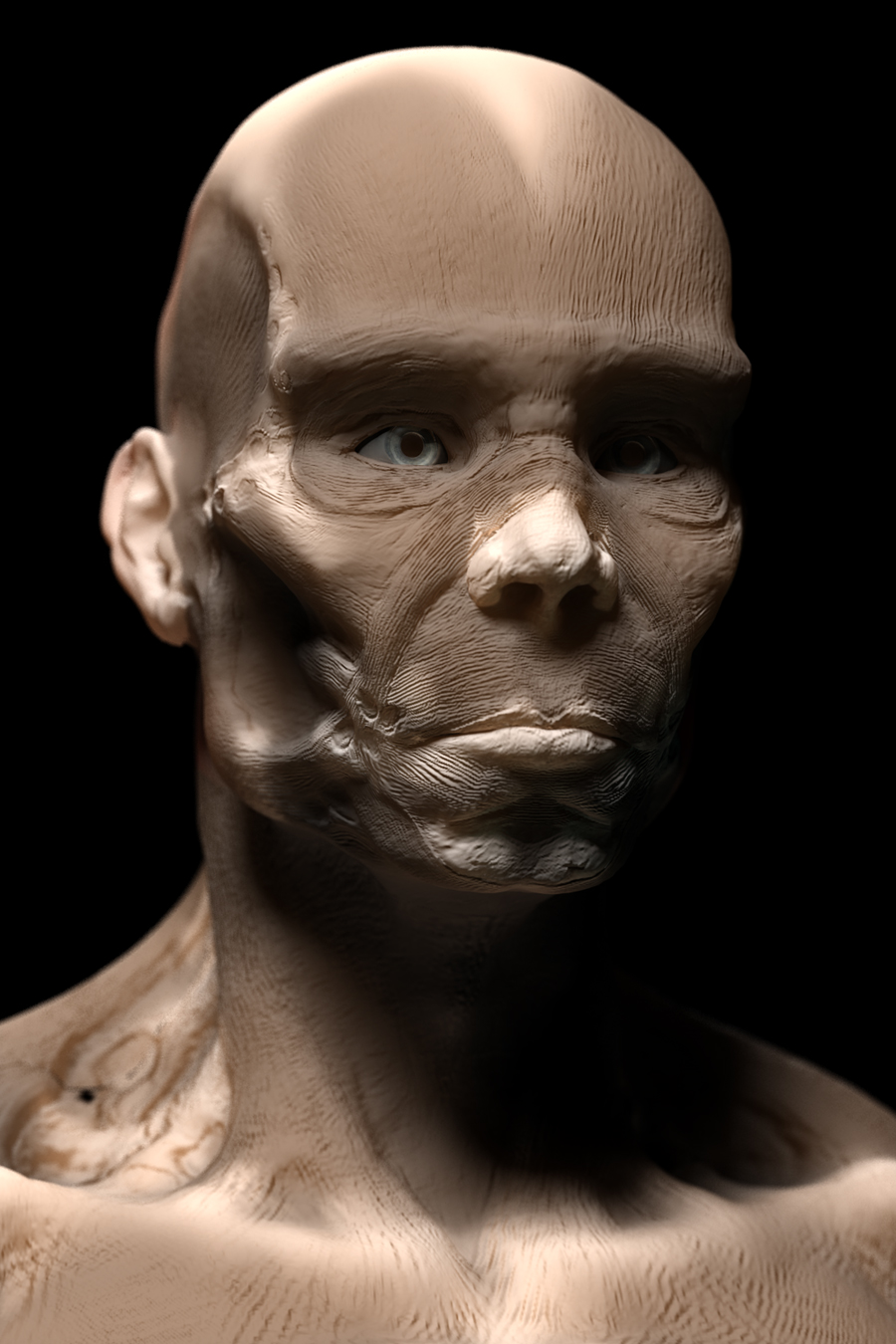 ecorcheFace.jpg