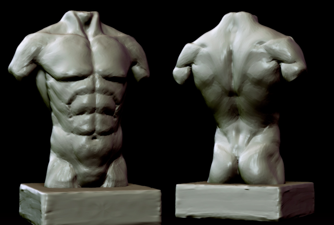 male-torso2.jpg