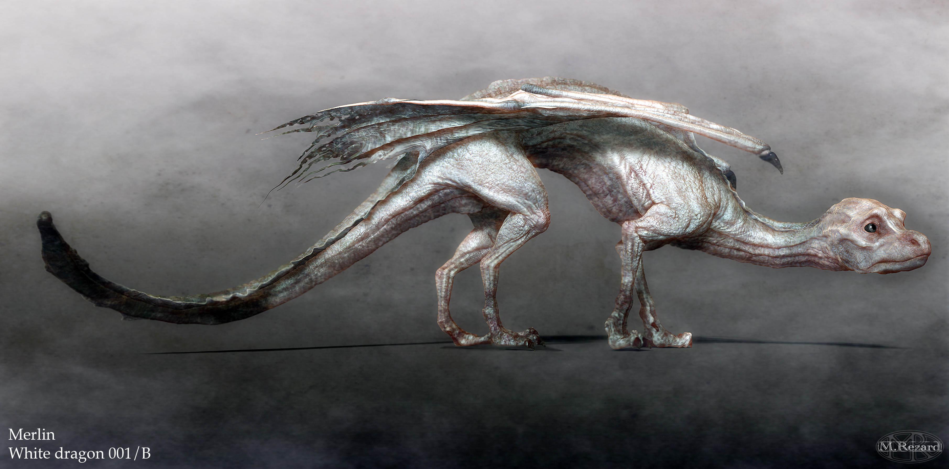 white dragon001B.jpg