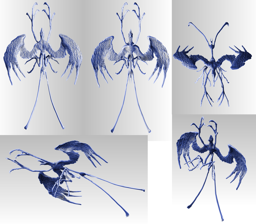 bird 08sml.jpg