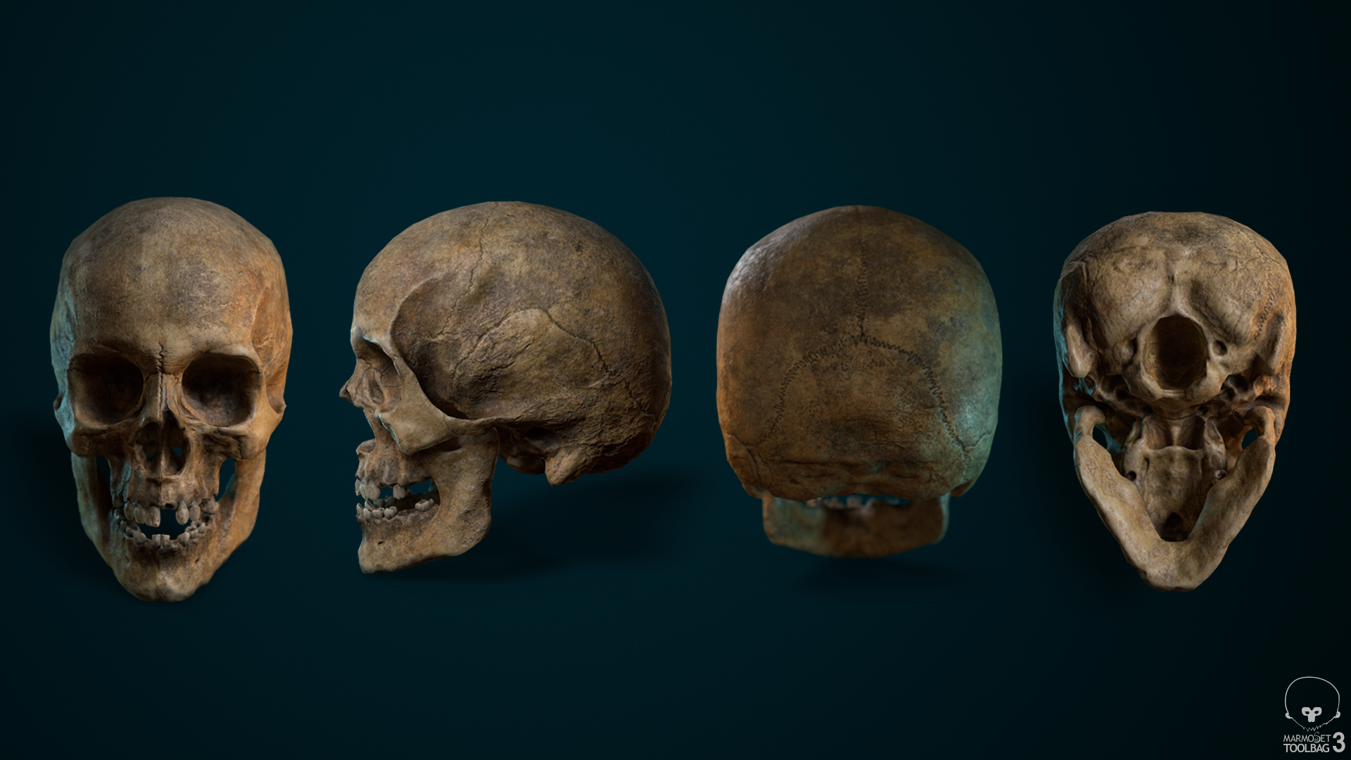 Skull_lineup_01