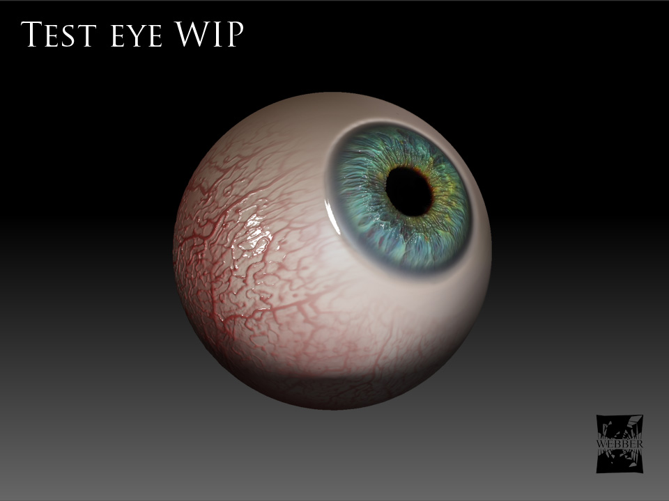 TEST EYE 1.jpg