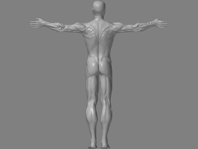 backt.jpg