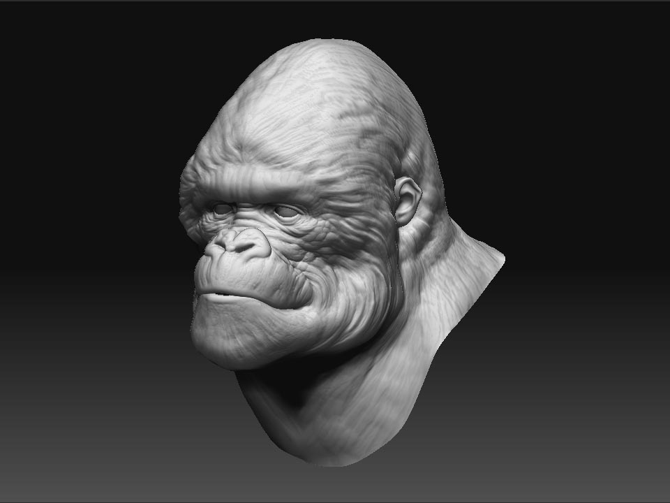 gorilla_E.jpg