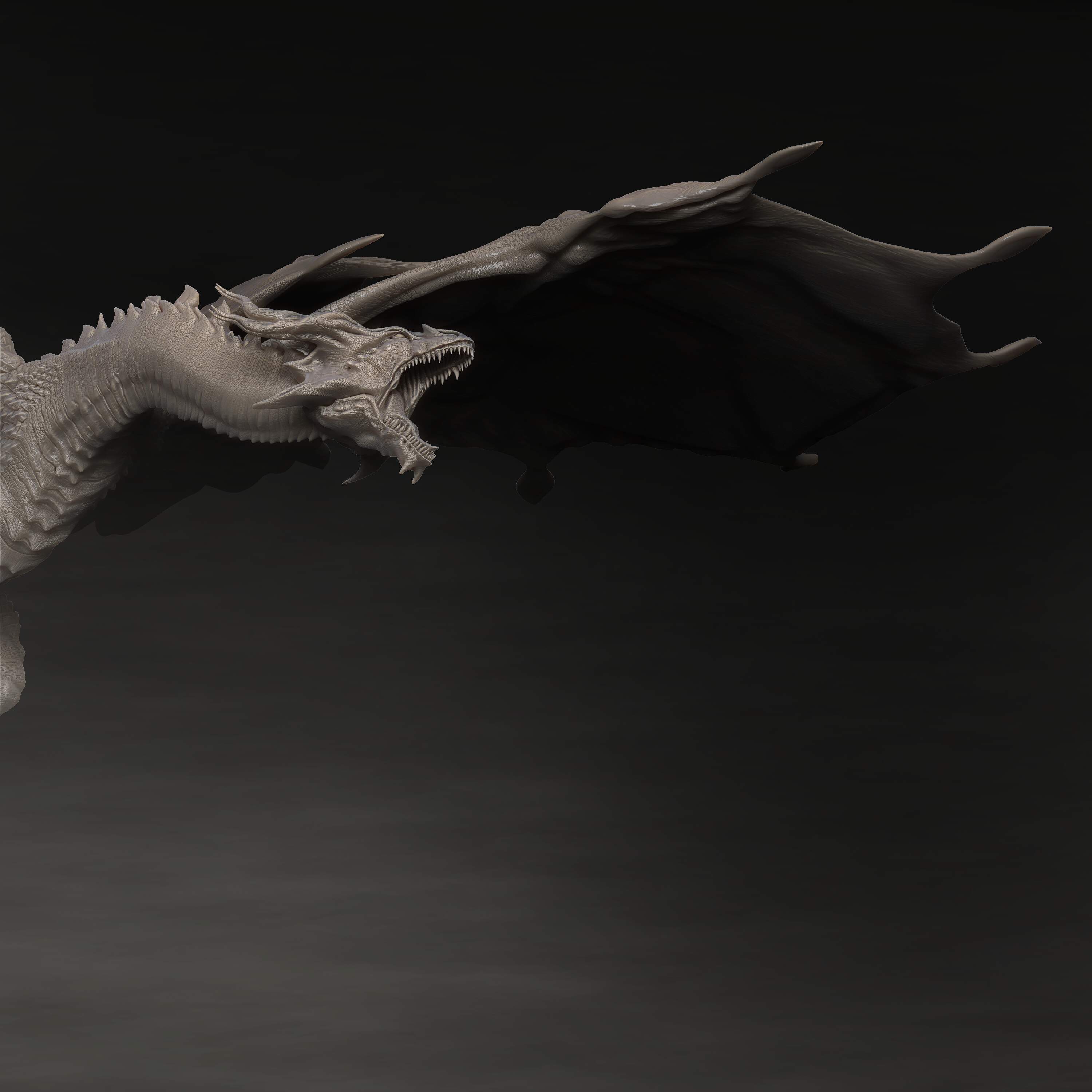 BPR_Composite-24-2