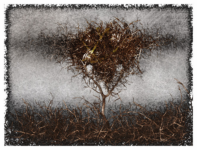 tree.jpg