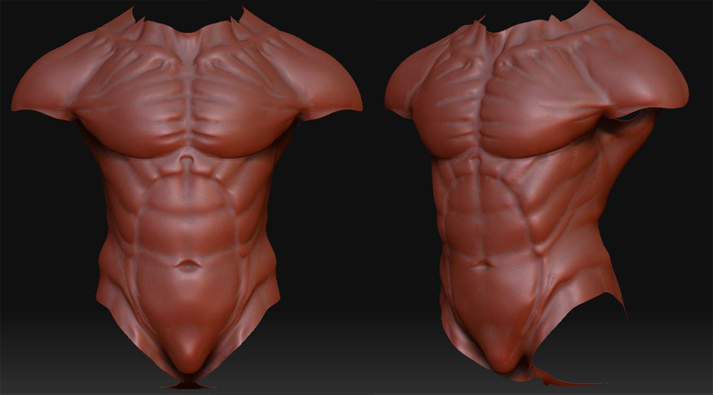 grakani_torso_01.jpg