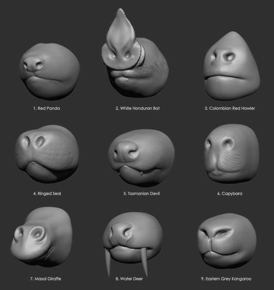 noses