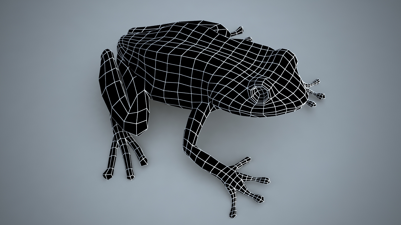 BaseFrogModelWire_.jpg
