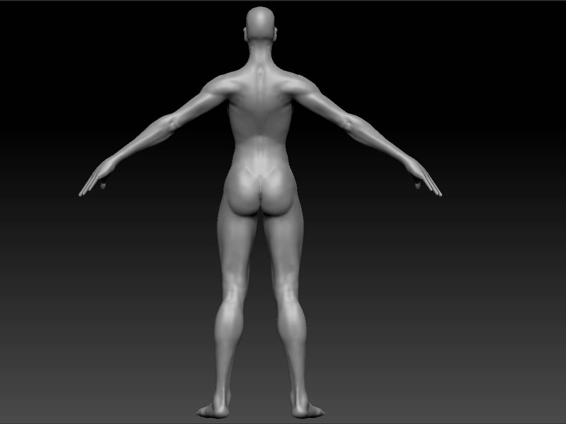 basicWomanBack.jpg