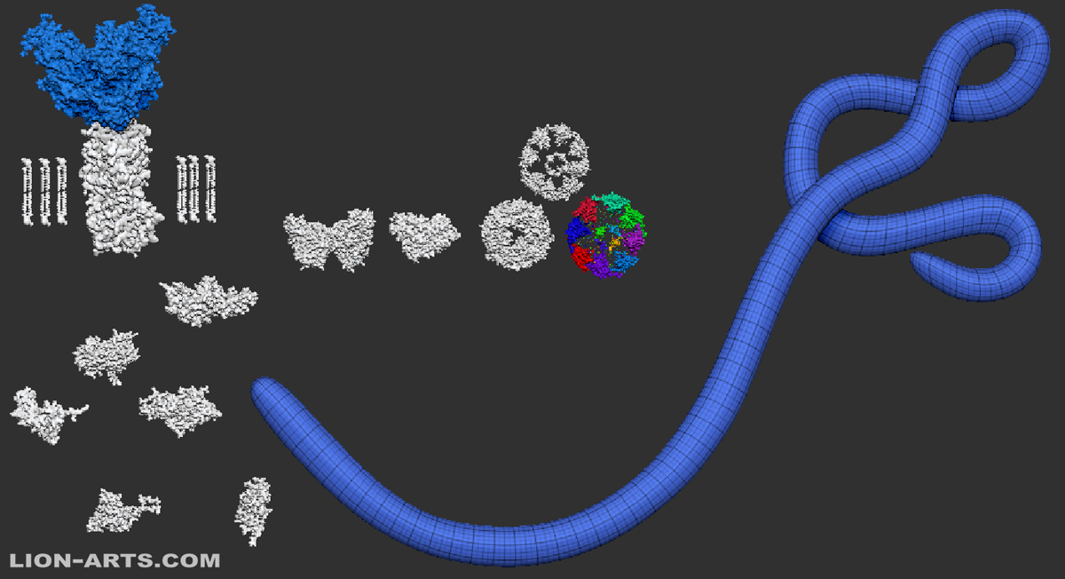 Ebola_All_Parts_Lion-Arts_Daniel_E_De_Leon.jpg