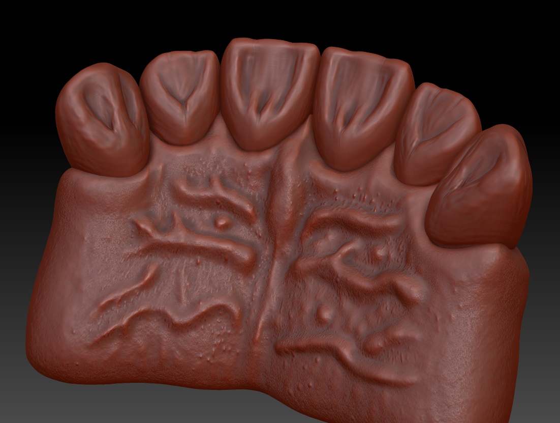 encia-zbrush2.jpg