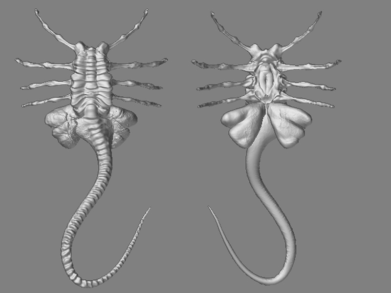 Face Hugger Mesh.jpg