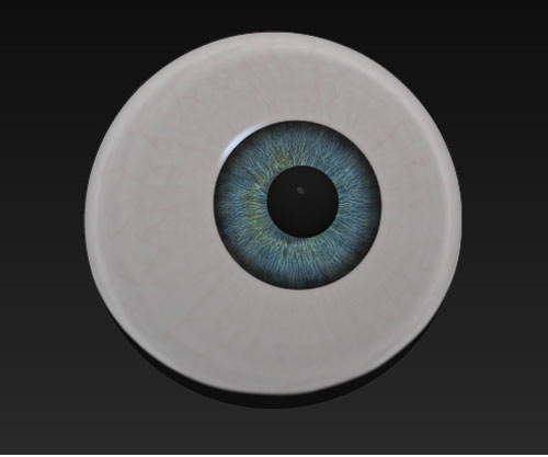 eye