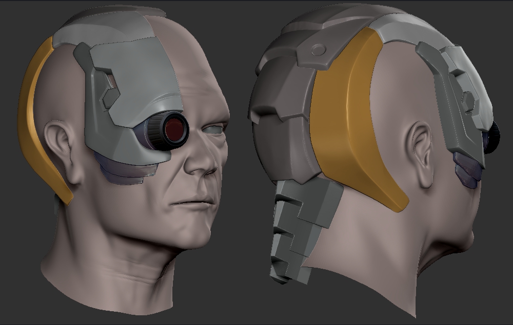 face_Prog.jpg