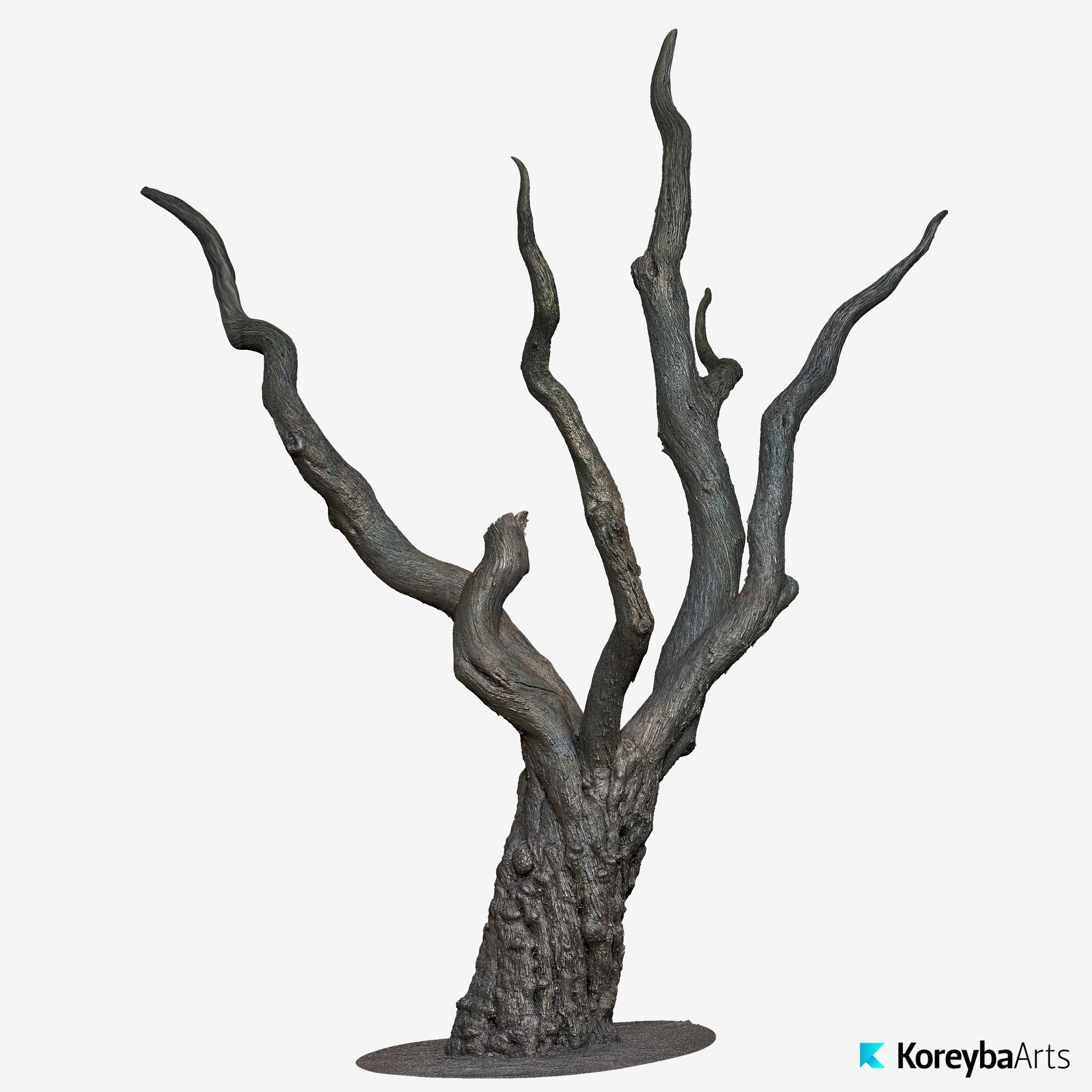lilac_trunk_sl_02.jpg