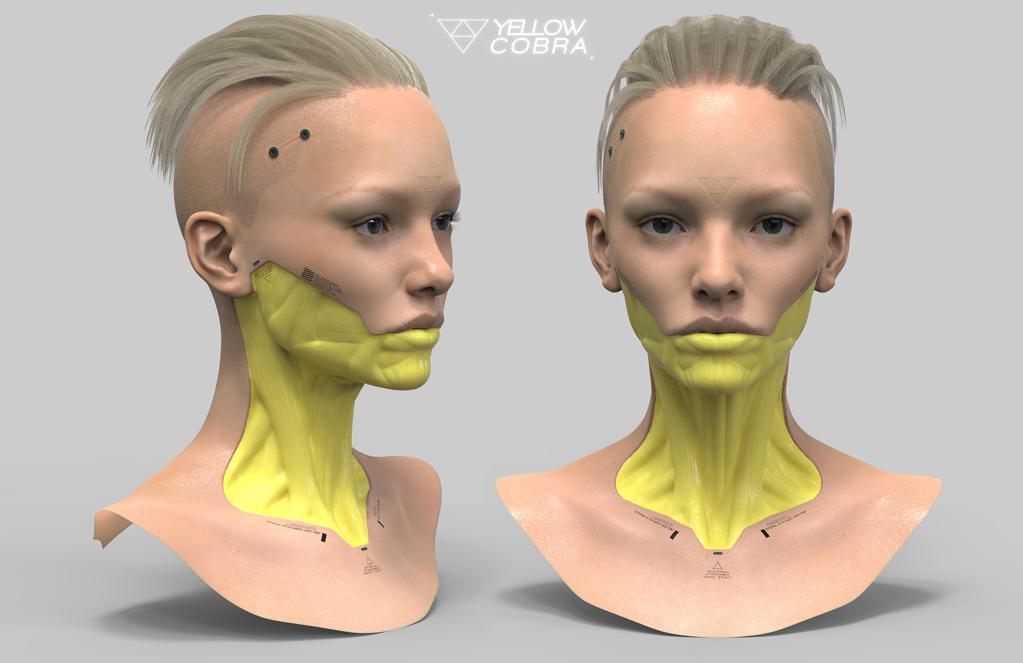 YC_Head.jpg