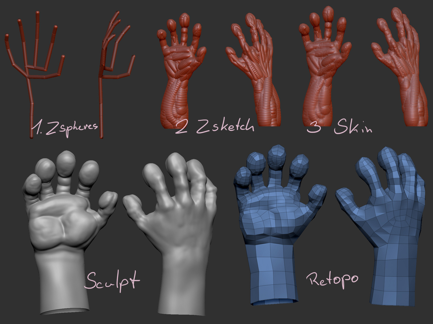 rosa_hand1.jpg