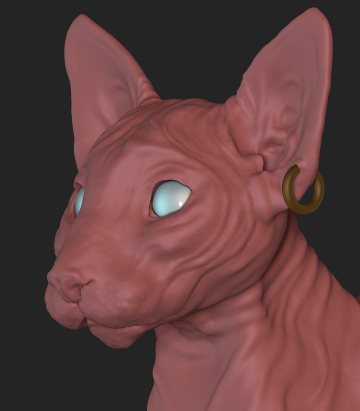 ZBrush Documentj.jpg