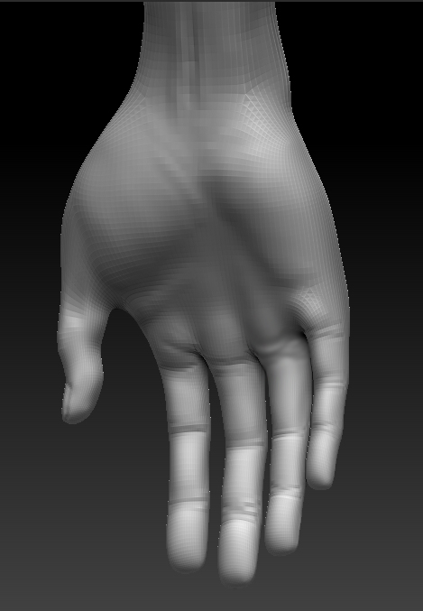 FINAL_HAND_BACK.jpg