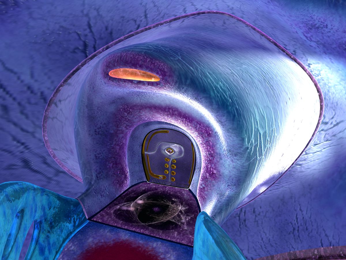 VETS 2.jpg