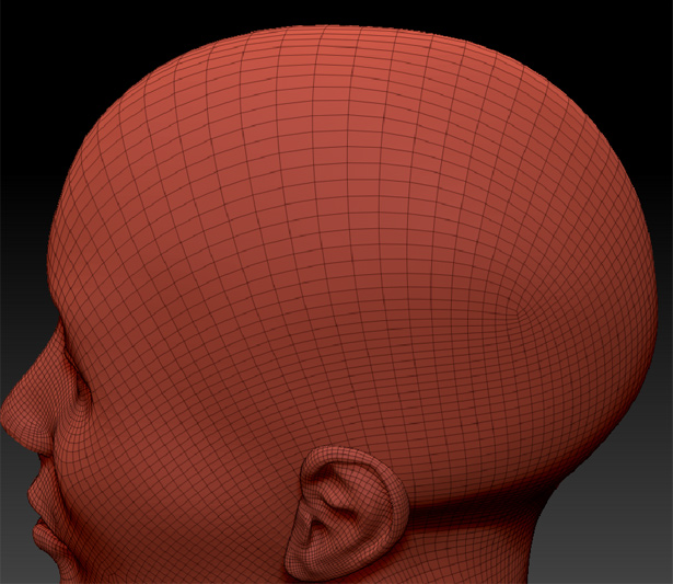 backhead.jpg