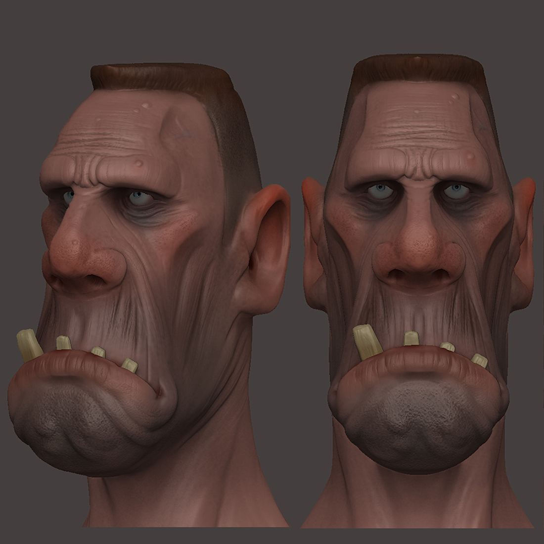 Merle1.jpg