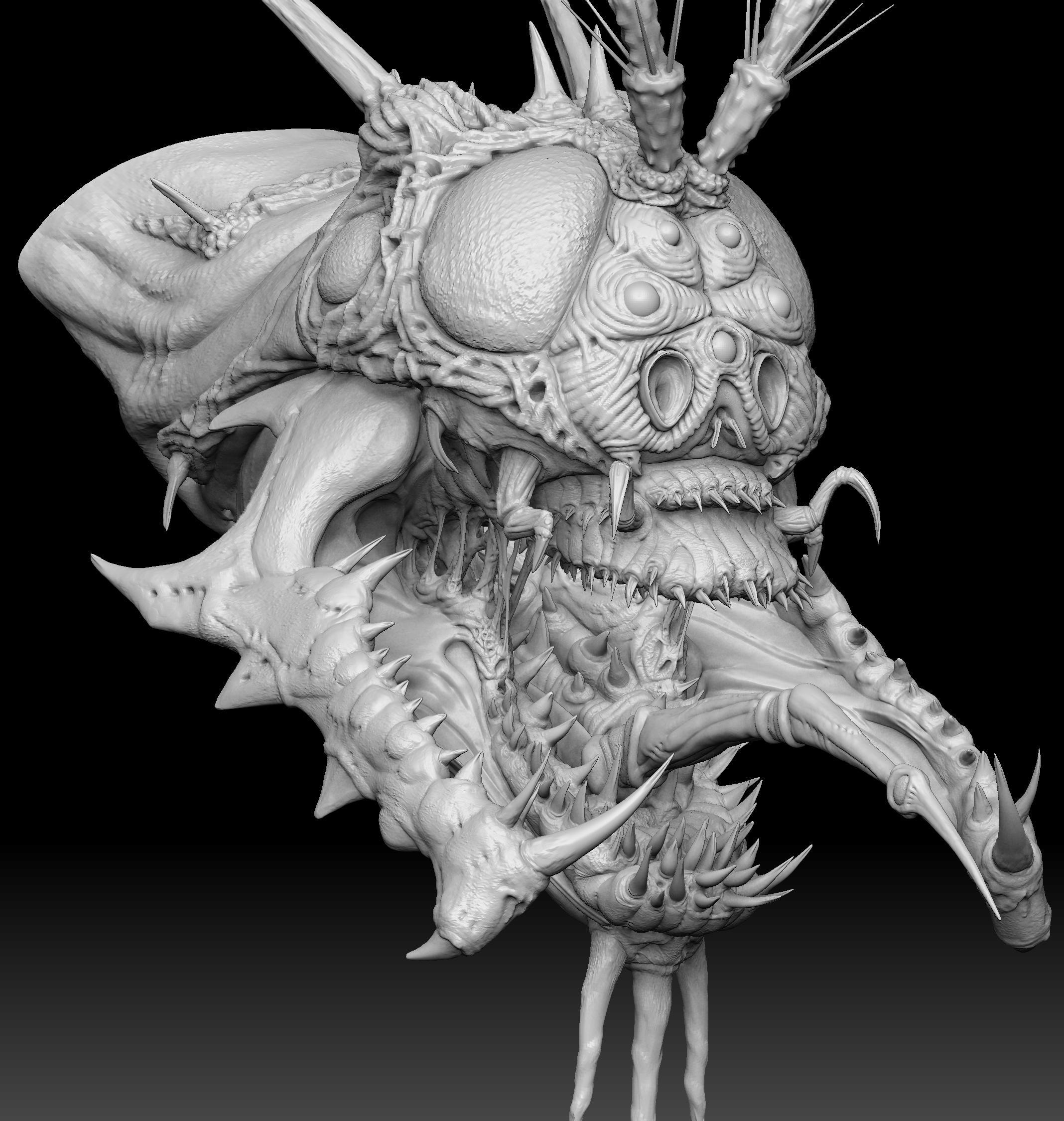 head.jpg