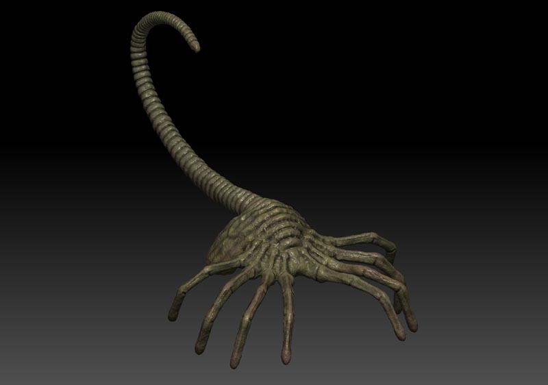 facehugger3 9.jpg