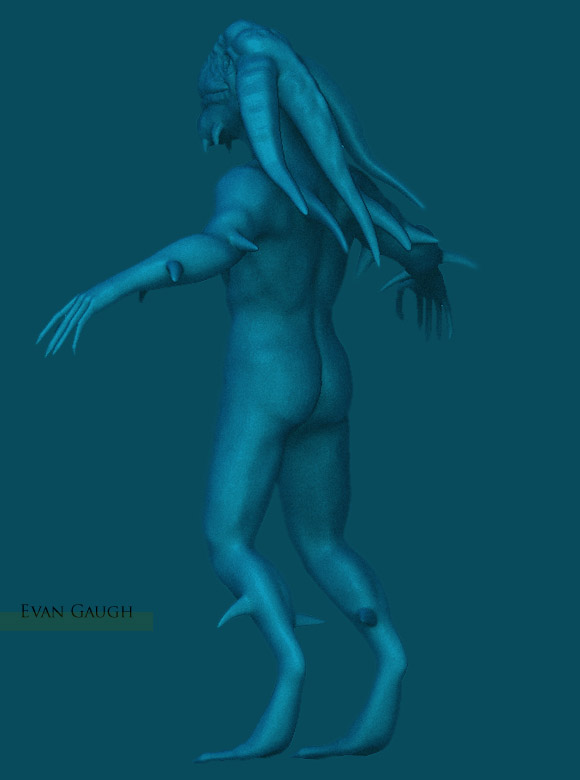 merback.jpg