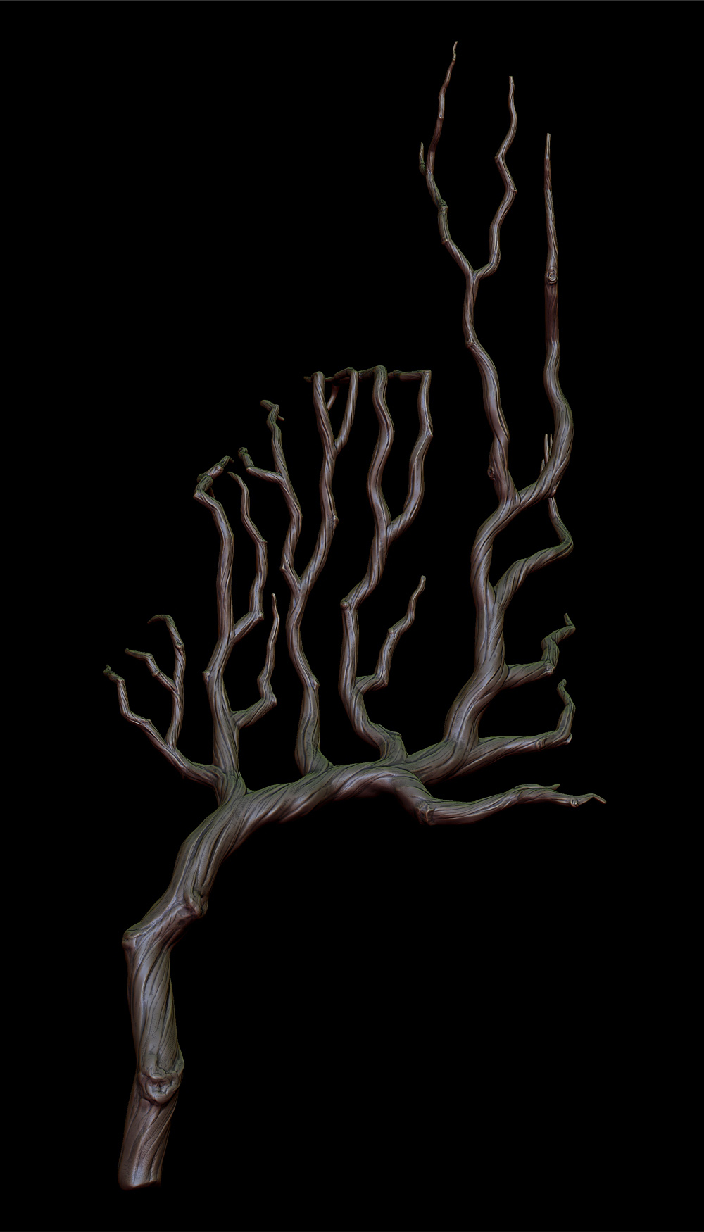 roots_right_01.jpg