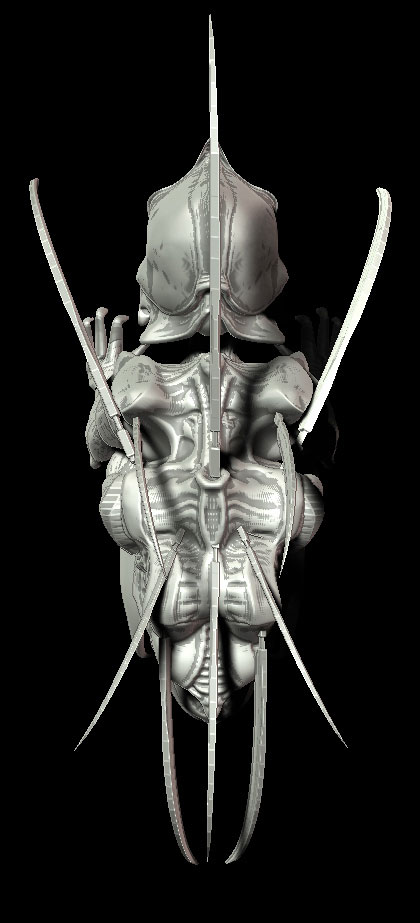 shrike_wip_top_01_web.jpg