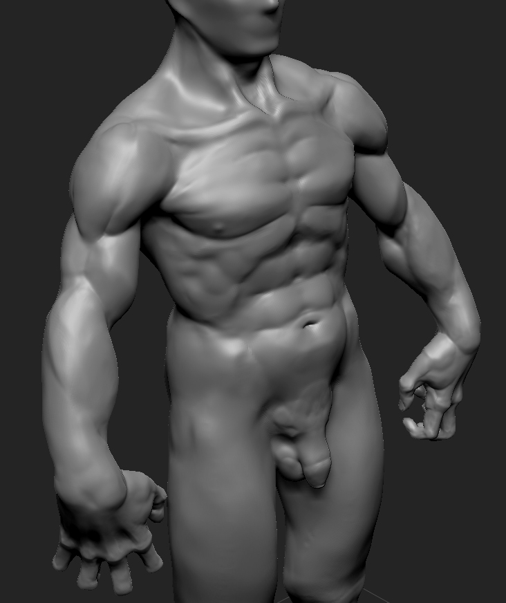 torso.jpg
