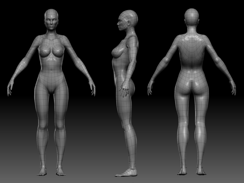 Female_Mesh_Wire.jpg
