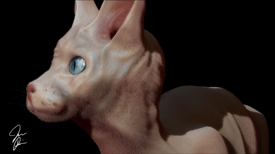 ZBrush Documenadasdt.jpg