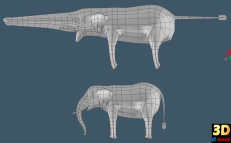 elephant.jpg